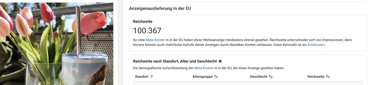 Screenshot Meta Werbebibliothek: Foto Ad mit 100.367 erreichten Konten